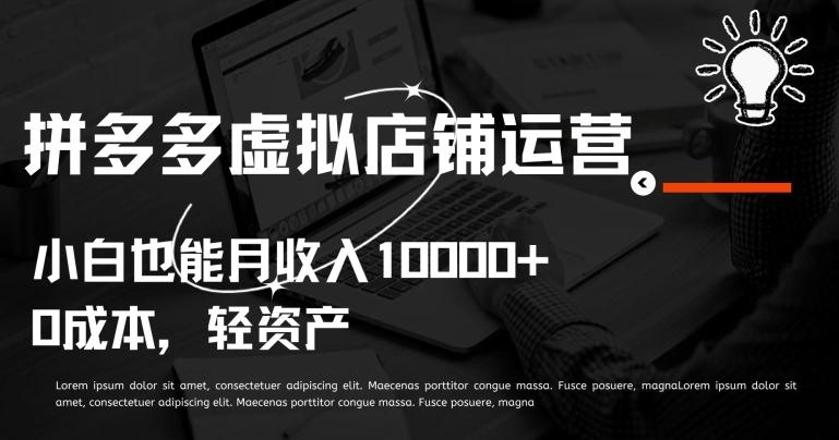 拼多多虚拟店铺运营小白也能月收入10000+【揭秘】-卿云社