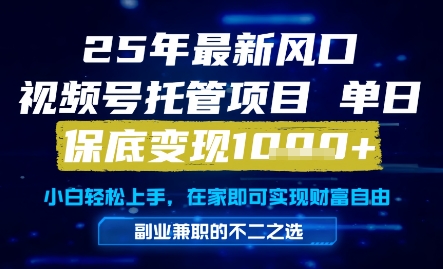 25年最新风口，视频号托管项目，单日保底变现1k+，手把手教学【揭秘】-卿云社
