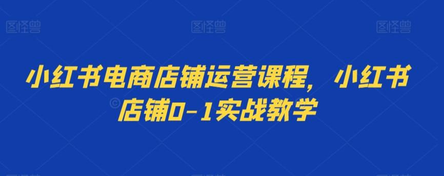 小红书电商店铺运营课程，小红书店铺0-1实战教学-卿云社