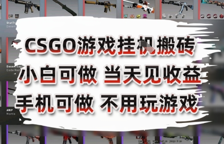 CSGO游戏挂G搬砖，小白纯手机即可操作，不用电脑打游戏，日入3张+，副业网创项目【揭秘】-卿云社