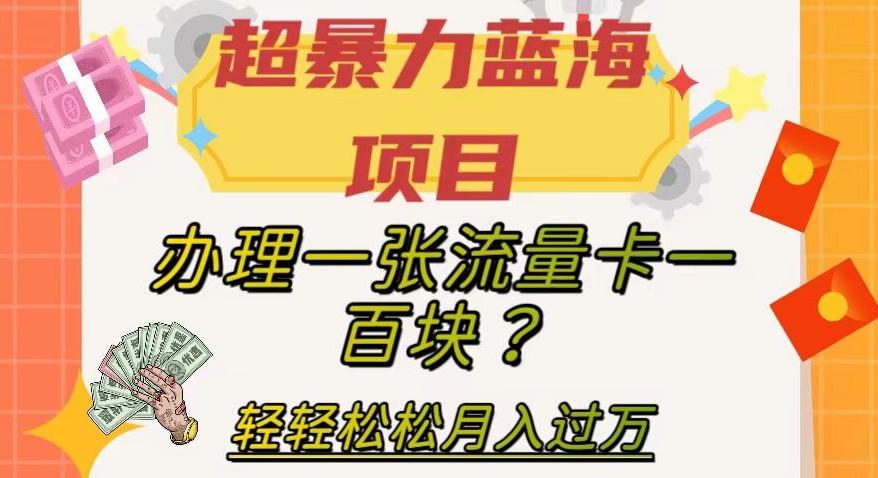 超暴力蓝海项目，办理一张流量卡一百块？轻轻松松月入过万，保姆级教程【揭秘】-卿云社