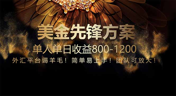 免费技术！小众赛道！一年布局抵三年努力，每日800+-卿云社