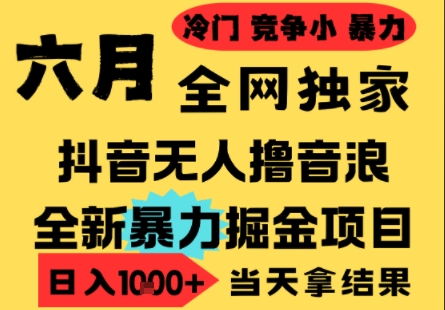 25年6月高爆抖音无人直播最新撸音浪掘金项目，小白可做，无脑日入1k+，门槛低可批量矩阵【揭秘】-卿云社