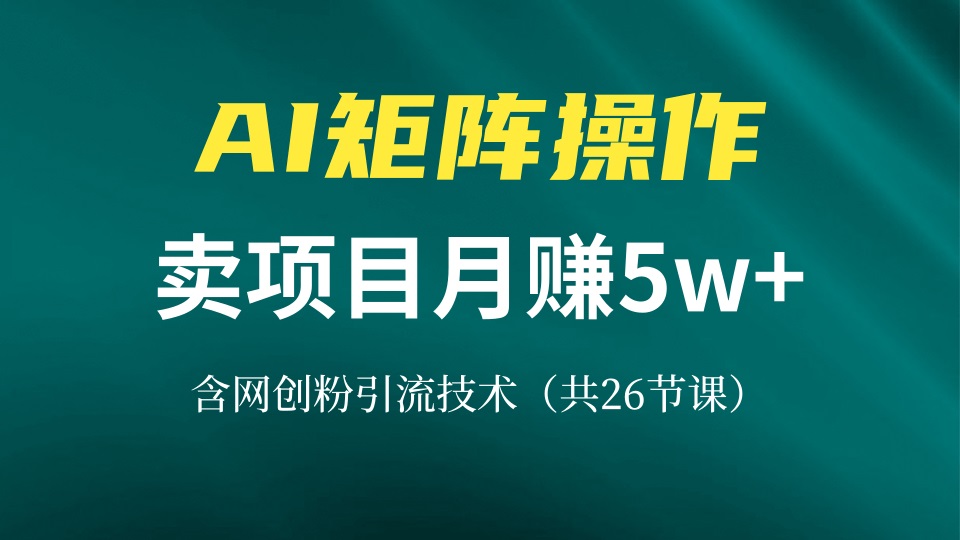 网创IP打造课，借助AI卖项目月赚5万+，含引流技术(共26节课-卿云社