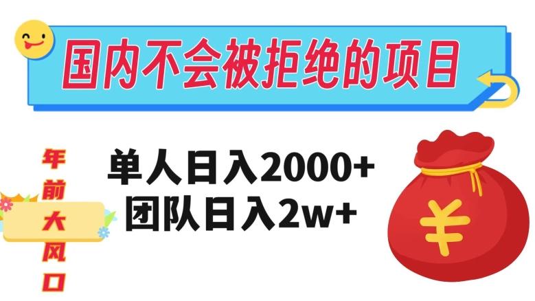 在国内不怕被拒绝的项目，单人日入2000，团队日入20000+【揭秘】-卿云社