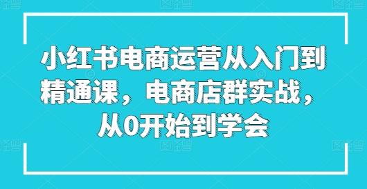 小红书电商运营从入门到精通课，电商店群实战，从0开始到学会-卿云社