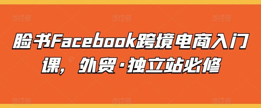 脸书Facebook跨境电商入门课，外贸·独立站必修-卿云社