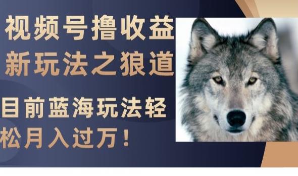 视频号撸收益新玩法之狼道，目前蓝海玩法，轻松月入过万【揭秘】-卿云社