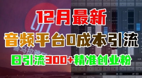 12月最新：音频平台0成本引流，日引流300+精准创业粉-卿云社