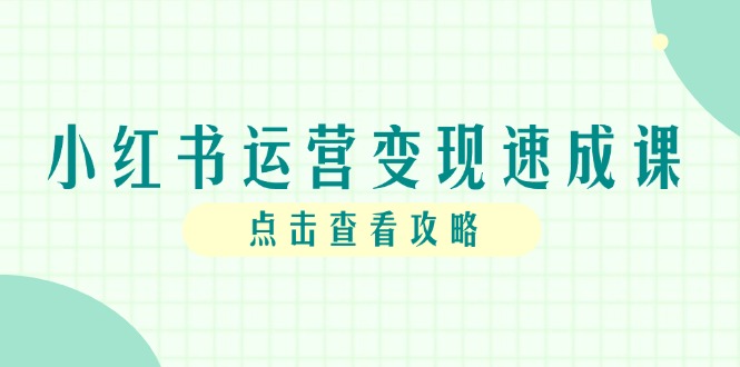 小红书运营变现速成课，账号搭建到暴力起号，个人IP全流程指南-卿云社