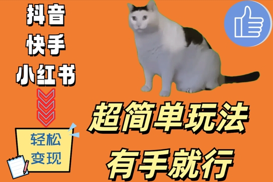 超简单玩法，有手就行，靠猫咪视频日入500+【揭秘】-卿云社