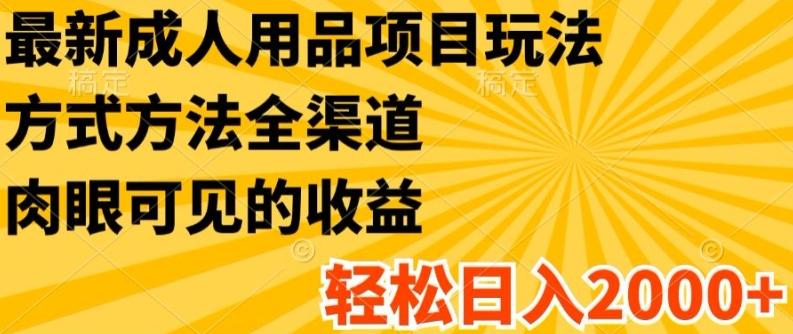 最新成人用品项目玩法，方式方法全渠道，轻松日入2K+【揭秘】-卿云社