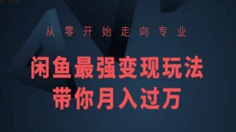 从零开始走向专业，闲鱼最强变现玩法带你月入过万-卿云社