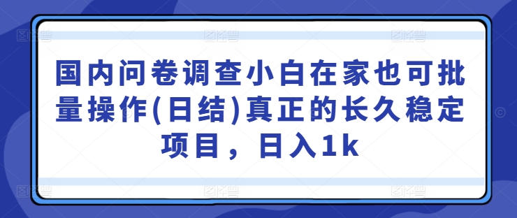 国内问卷调查小白在家也可批量操作(日结)真正的长久稳定项目，日入1k【揭秘】-卿云社