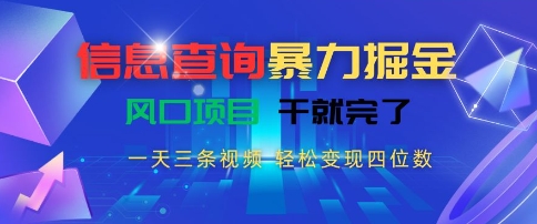 信息查询暴力掘金，一天三条视频，轻松变现四位数，风口项目干就完了【揭秘】-卿云社