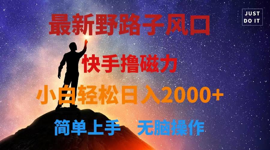 最新风口！快手撸磁力，野路子，小白无脑操作日入2000+-卿云社