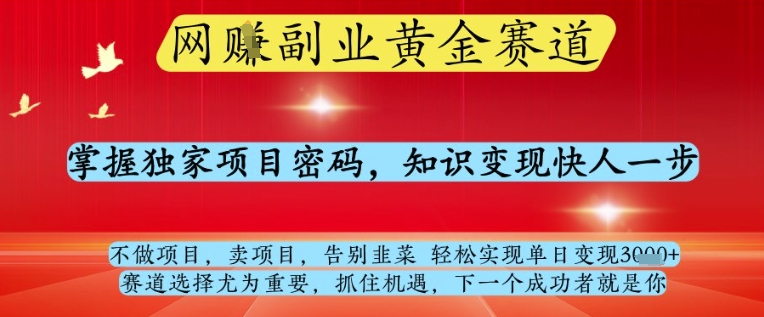 网创副业黄全赛道，掌握独家项目密码，知识变现快人一步，告别韭菜轻松实现单日变现1k+【揭秘】-卿云社