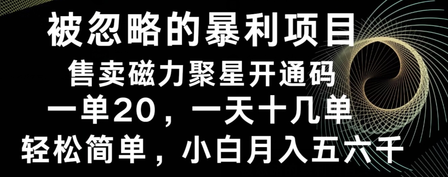 被忽略的暴利项目！售卖磁力聚星开通码，一单20，一天十几单，轻松月入五六千-卿云社