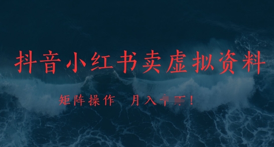抖音小红书卖虚拟资料，市场需求一直存在，矩阵操作，月入1w+-卿云社