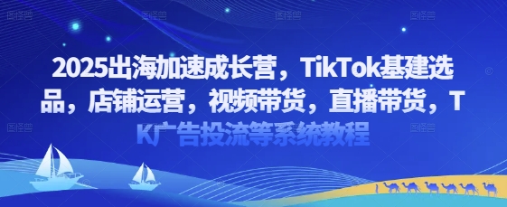 2025出海加速成长营，TikTok基建选品，店铺运营，视频带货，直播带货，TK广告投流等系统教程-卿云社