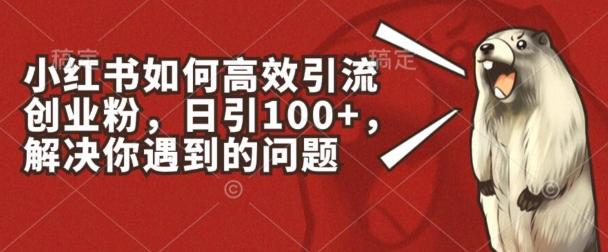 小红书如何高效引流创业粉，日引100+，解决你遇到的问题【揭秘】-卿云社
