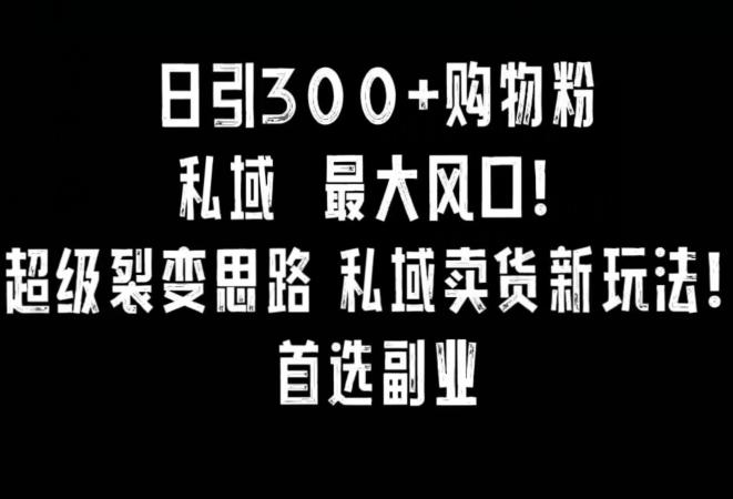 日引300+购物粉，超级裂变思路，私域卖货新玩法，小红书首选副业【揭秘】-卿云社
