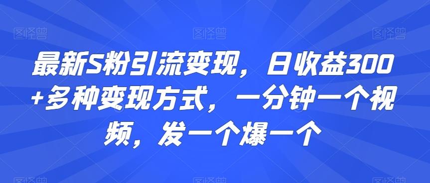 最新S粉引流变现，日收益300+多种变现方式，一分钟一个视频，发一个爆一个【揭秘】-卿云社