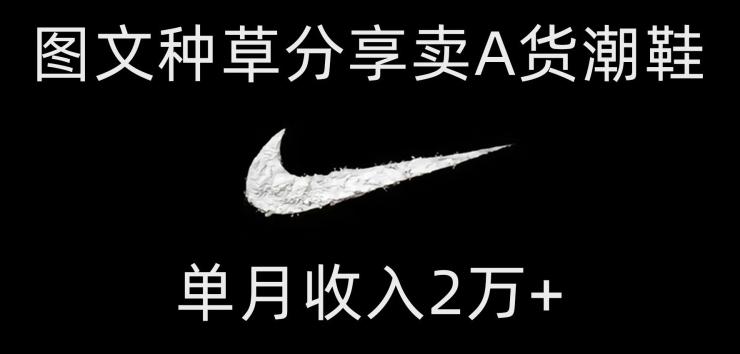 靠图文种草分享卖A货潮鞋，每天一小时，单月收入2万+【揭秘】-卿云社