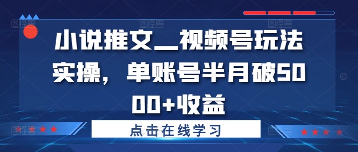 小说推文—视频号玩法实操，单账号半月破5000+收益-卿云社