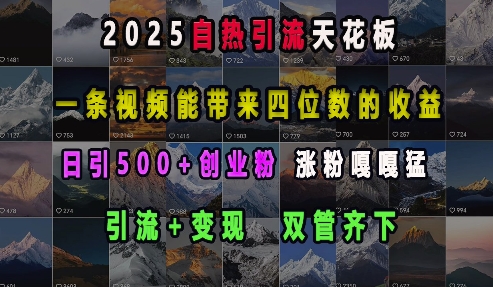 2025自热引流天花板，一条视频能带来四位数的收益，引流+变现双管齐下，日引500+创业粉，涨粉嘎嘎猛-卿云社