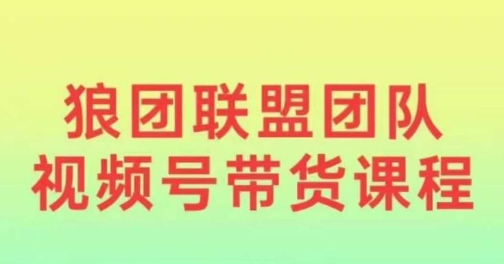 狼团联盟2024视频号带货，0基础小白快速入局视频号-卿云社