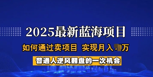 2025蓝海项目，普通人如何通过卖项目，实现月入过W，全过程【揭秘】-卿云社