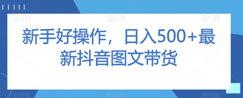 新手好操作，日入500+最新抖音图文带货【揭秘】-卿云社