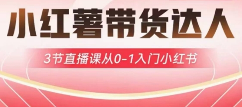 小红薯达人带货启航计划，3节直播课从0-1入门小红书-卿云社