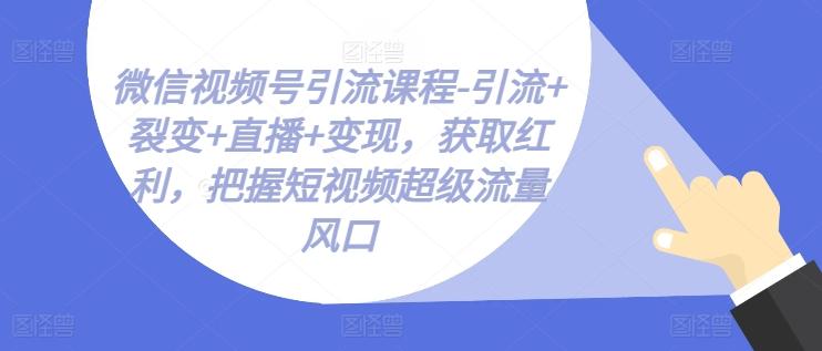 微信视频号引流课程-引流+裂变+直播+变现，获取红利，把握短视频超级流量风口-卿云社