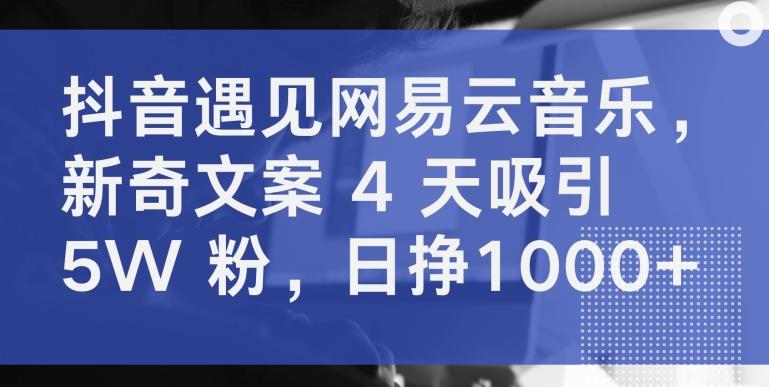 抖音遇见网易云音乐，新奇文案 4 天吸引 5W 粉，日挣1000+【揭秘】-卿云社