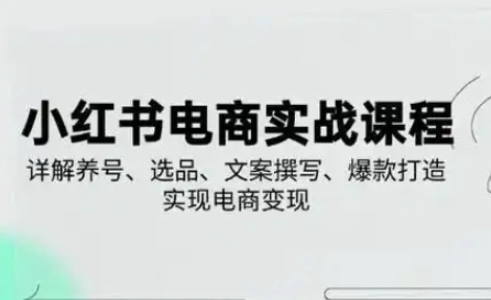小红书从0-1实操课(2023-2025)，详解养号、选品、文案撰写、爆款打造实现电商变现-卿云社