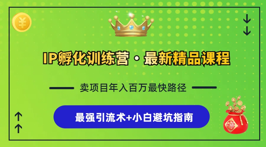 IP孵化训练营，知识付费全流程+最强引流术+小白避坑指南-卿云社
