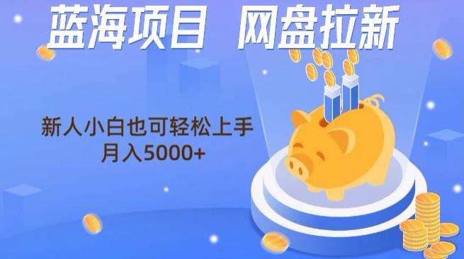 蓝海项目网盘拉新，新人小白也可操作，每月收入5000+-卿云社