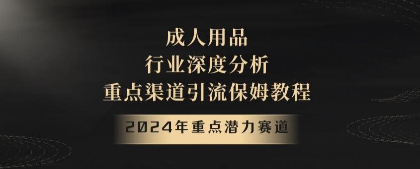 2024年重点潜力赛道，成人用品行业深度分析，重点渠道引流保姆教程【揭秘】-卿云社