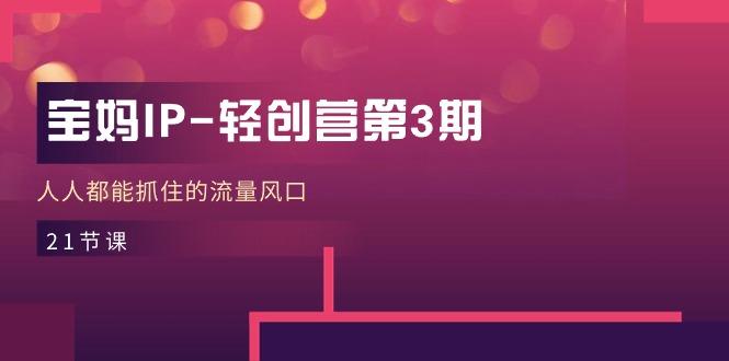 宝妈IP-轻创营第3期，人人都能抓住的流量风口(21节课-卿云社