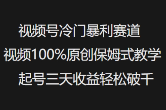 视频号冷门暴利赛道视频100%原创保姆式教学起号三天收益轻松破千-卿云社