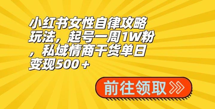 小红书女性自律攻略玩法，起号一周1W粉，私域情商干货单日变现500＋-卿云社