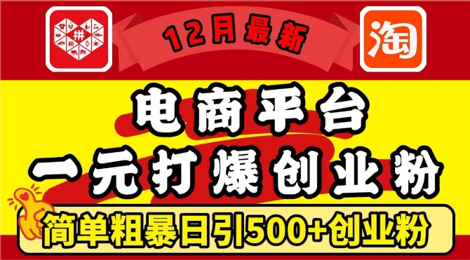 12月最新：电商平台1元打爆创业粉，简单粗暴日引500+精准创业粉，轻松月入过W【揭秘】-卿云社
