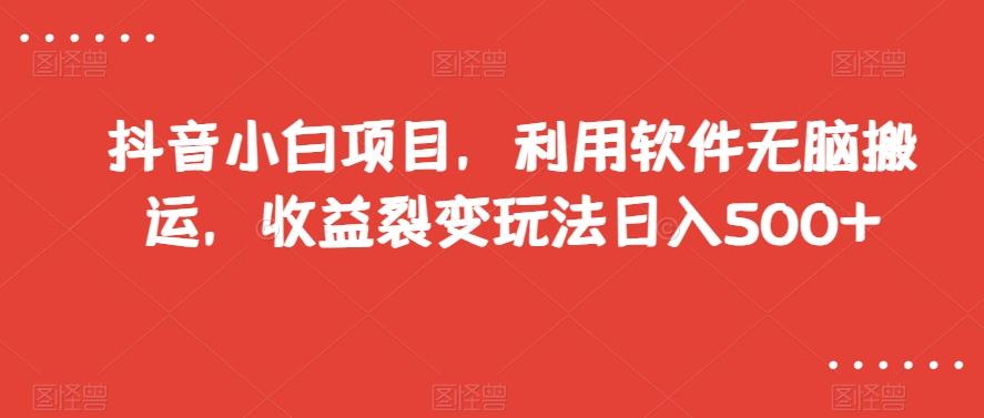 抖音小白项目，利用软件无脑搬运，收益裂变玩法日入500+【揭秘】-卿云社