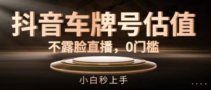 抖音车牌号估值，不露脸直播，0门槛，小白秒上手【揭秘】-卿云社