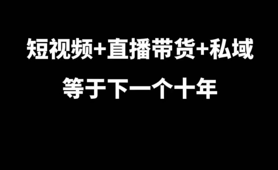 短视频+直播带货+私域等于下一个十年，大佬7年实战经验总结-卿云社