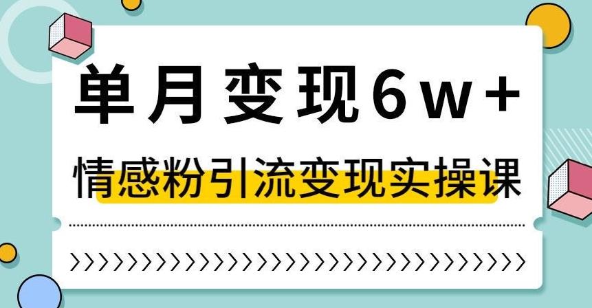 单月变现6W+，抖音情感粉引流变现实操课，小白可做，轻松上手，独家赛道【揭秘】-卿云社