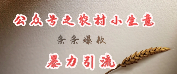 deepseek写农村小项目，条条爆款，暴力引流-卿云社