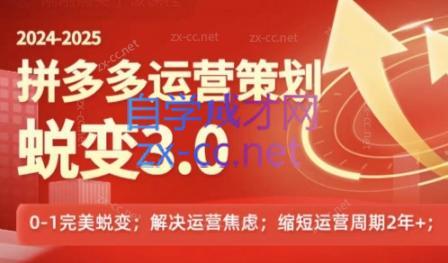 大力老师·2024拼多多运营策略蜕变3.0-卿云社